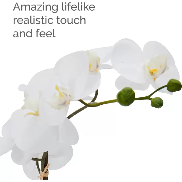 Mikasa Artificial Orchid in Pot, Real Touch Phalaenopsis Orchid, Faux Wood Cement Pot, 16-Inch Single Branch, Rosewood