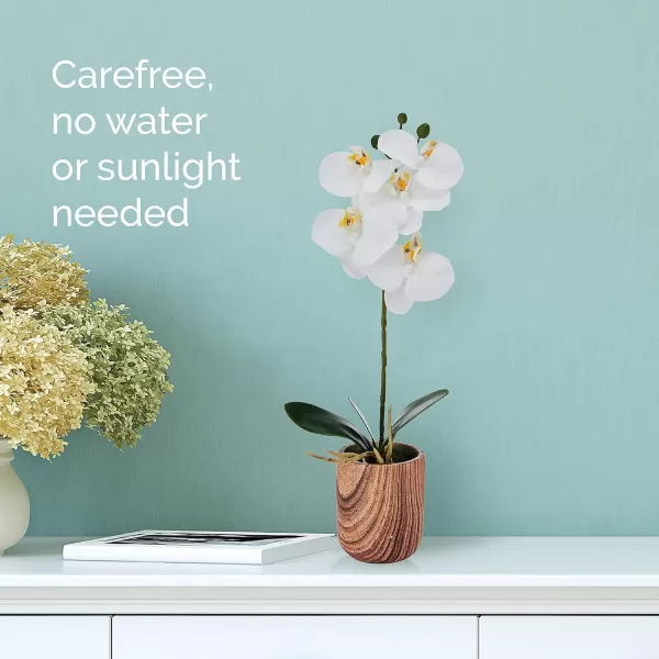 Mikasa Artificial Orchid in Pot, Real Touch Phalaenopsis Orchid, Faux Wood Cement Pot, 16-Inch Single Branch, Rosewood