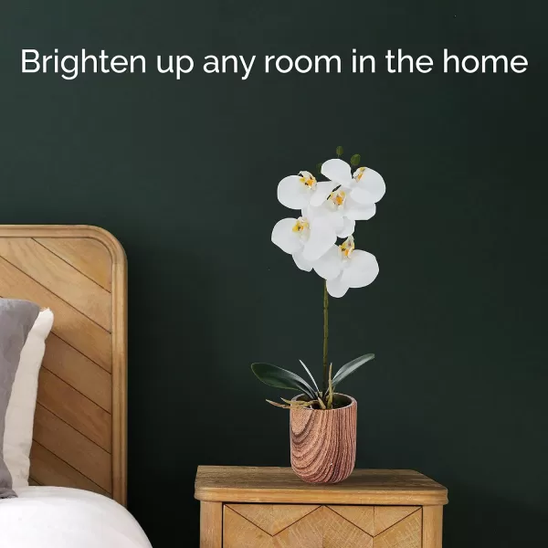 Mikasa Artificial Orchid in Pot, Real Touch Phalaenopsis Orchid, Faux Wood Cement Pot, 16-Inch Single Branch, Rosewood