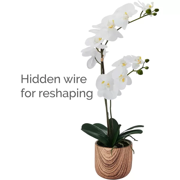 Mikasa Artificial Orchid in Pot, Real Touch Phalaenopsis Orchid, Faux Wood Cement Pot, 16-Inch Single Branch, Rosewood