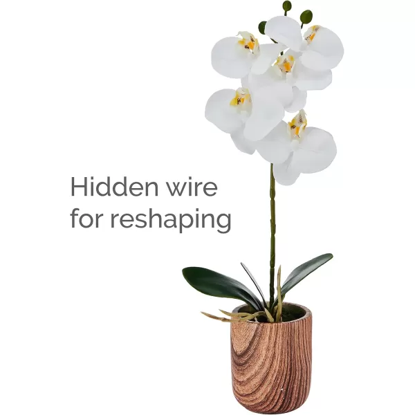 Mikasa Artificial Orchid in Pot, Real Touch Phalaenopsis Orchid, Faux Wood Cement Pot, 16-Inch Single Branch, Rosewood