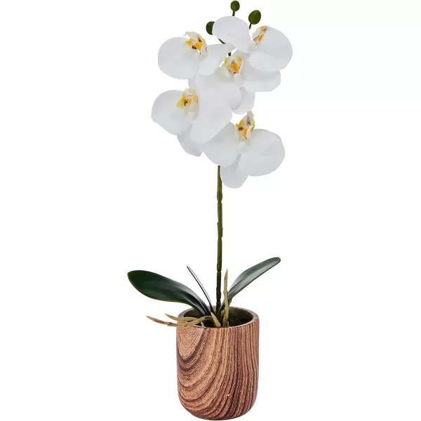 Mikasa Artificial Orchid in Pot, Real Touch Phalaenopsis Orchid, Faux Wood Cement Pot, 16-Inch Single Branch, Rosewood