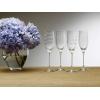 imageMikasa Cheers Set of 4 Platinum Rim Champagne Flutes 8 OunceChampagne Flute