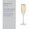 imageMikasa Cheers Set of 4 Platinum Rim Champagne Flutes 8 OuncePlatinum Rim Champagne Flute