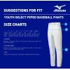 imageMizuno Youth Premier Piped Baseball PantsWhiteRoyal