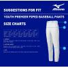 imageMizuno Youth Premier Piped Baseball PantsWhiteRoyal