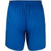 imageMizuno Mens 7 quot Volley ShortRoyalshade