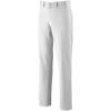 imageMizuno Youth Prospect Baseball PantGrey