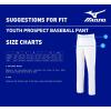 imageMizuno Youth Prospect Baseball PantGrey