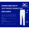 imageMizuno Youth Prospect Baseball PantWhite
