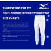 imageMizuno Boys Youth Premier Tapered Tweener PantGrey