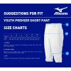 imageMizuno Youth Premier Short Baseball PantCharcoal