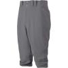 imageMizuno Youth Premier Short Baseball PantCharcoal