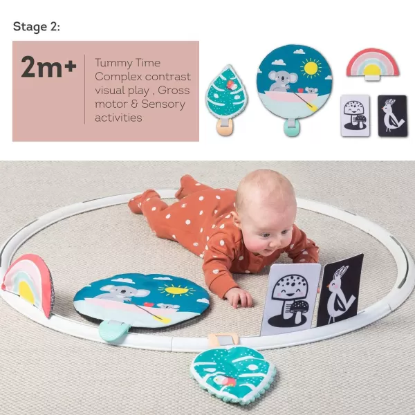 Taf Toys All Around Me Activity Hoop  Developmental Hoop Prefect for Newborns and up with 24 Developmental Activities Designed to Promote Babys Senses Motor Skills and Cognitive DevelopmentGreen