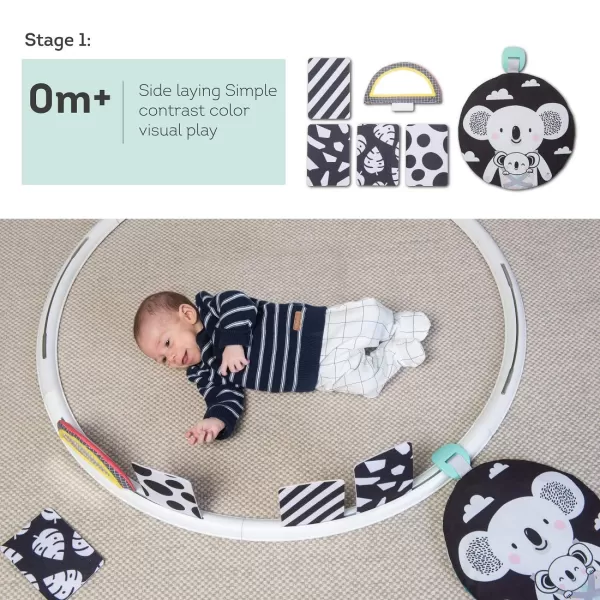 Taf Toys All Around Me Activity Hoop  Developmental Hoop Prefect for Newborns and up with 24 Developmental Activities Designed to Promote Babys Senses Motor Skills and Cognitive DevelopmentGreen