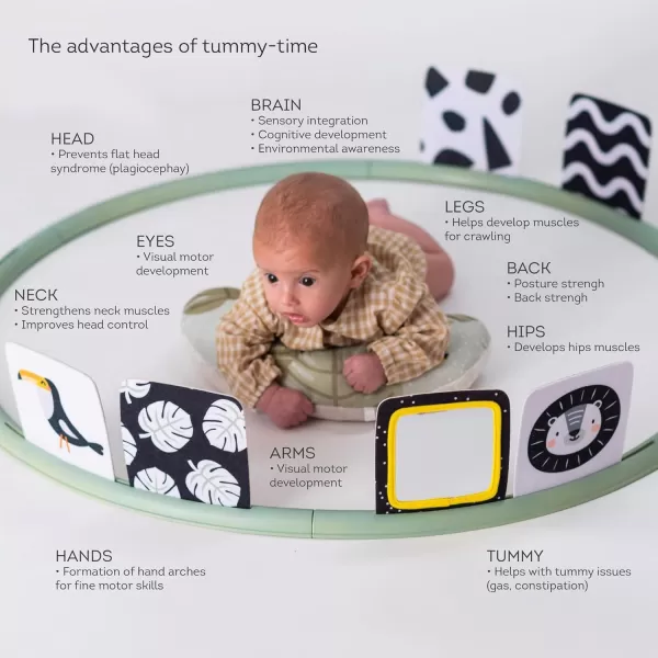 Taf Toys All Around Me Activity Hoop  Developmental Hoop Prefect for Newborns and up with 24 Developmental Activities Designed to Promote Babys Senses Motor Skills and Cognitive DevelopmentOrange