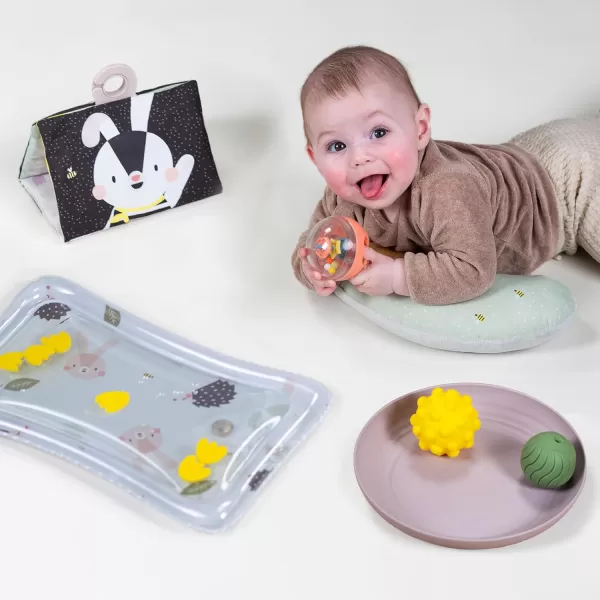 Taf Toys Baby Tummy Time Kit  High Contrast Black and White Crinkle Book Tummy Time Support Pillow Baby Activity Water Mat Sensory Balls Plate  Newborn Infant Tummy Time Sensory Toy Set 0 month