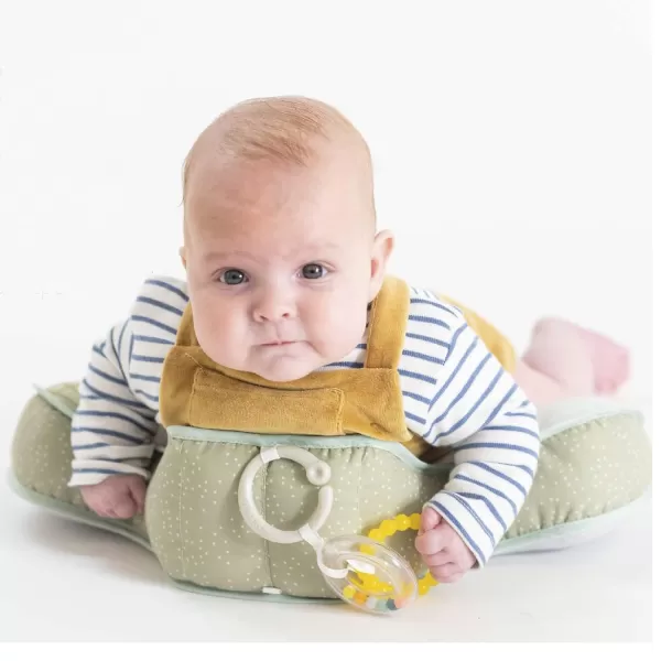 Taf Toys Baby Tummy Time Pillow  Perfect for 26 Months Old Babies Enables Easier Development ampamp Easier Parenting Natural Developmental Comfortable Tummy Time Ergonomic Design Detachable ToysGrey