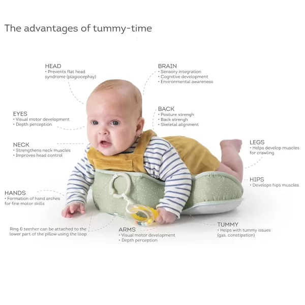 Taf Toys Baby Tummy Time Pillow  Perfect for 26 Months Old Babies Enables Easier Development ampamp Easier Parenting Natural Developmental Comfortable Tummy Time Ergonomic Design Detachable ToysGrey