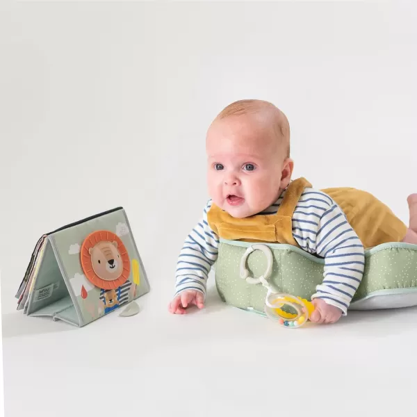 Taf Toys Baby Tummy Time Pillow  Perfect for 26 Months Old Babies Enables Easier Development ampamp Easier Parenting Natural Developmental Comfortable Tummy Time Ergonomic Design Detachable ToysGrey