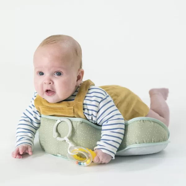 Taf Toys Baby Tummy Time Pillow  Perfect for 26 Months Old Babies Enables Easier Development ampamp Easier Parenting Natural Developmental Comfortable Tummy Time Ergonomic Design Detachable ToysGrey