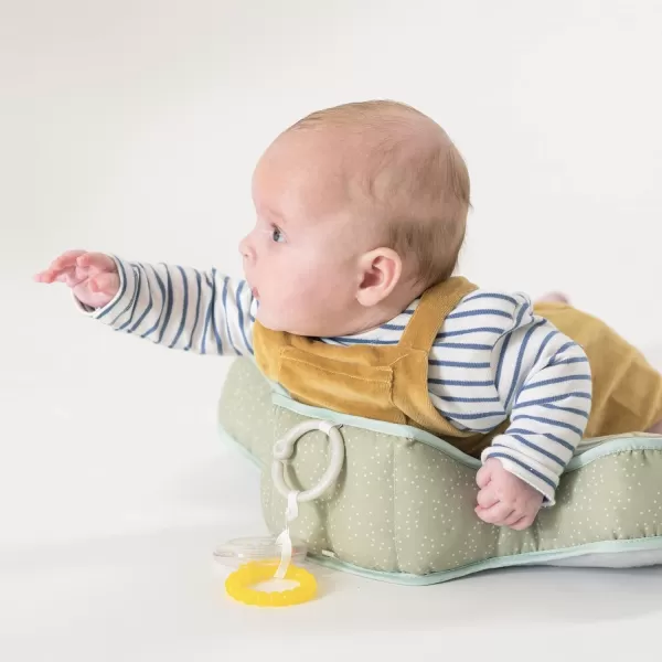 Taf Toys Baby Tummy Time Pillow  Perfect for 26 Months Old Babies Enables Easier Development ampamp Easier Parenting Natural Developmental Comfortable Tummy Time Ergonomic Design Detachable ToysGrey