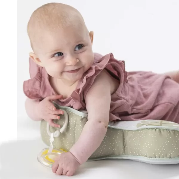 Taf Toys Baby Tummy Time Pillow  Perfect for 26 Months Old Babies Enables Easier Development ampamp Easier Parenting Natural Developmental Comfortable Tummy Time Ergonomic Design Detachable ToysGrey