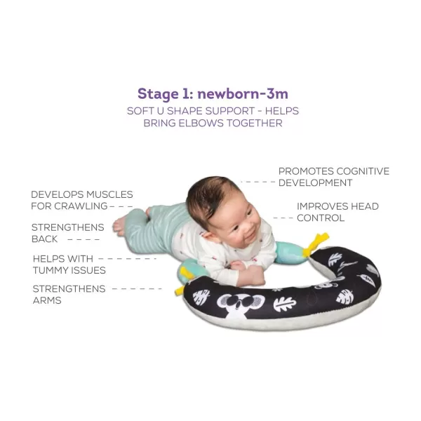 Taf Toys Baby Tummy Time Pillow  Perfect for 26 Months Old Babies Enables Easier Development ampamp Easier Parenting Natural Developmental Comfortable Tummy Time Ergonomic Design Detachable ToysBlack and White