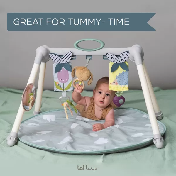 Taf Toys Foldable Baby Play Gym Double Sided Infant Activity Center with Black White ampamp Color Toys XL BabySafe Mirror ampamp Activity Toys Hanging Bar Toddler Toy Little Dove Baby Playmat