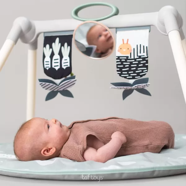 Taf Toys Foldable Baby Play Gym Double Sided Infant Activity Center with Black White ampamp Color Toys XL BabySafe Mirror ampamp Activity Toys Hanging Bar Toddler Toy Little Dove Baby Playmat