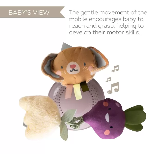 Taf Toys Garden Musical Mobile for Crib with Classical Melodies Soft Hanging Toys Promotes Motor Skills ampamp Emotional Development Large Clip for Easy Attachment Suitable for Baby Boys ampamp Girls