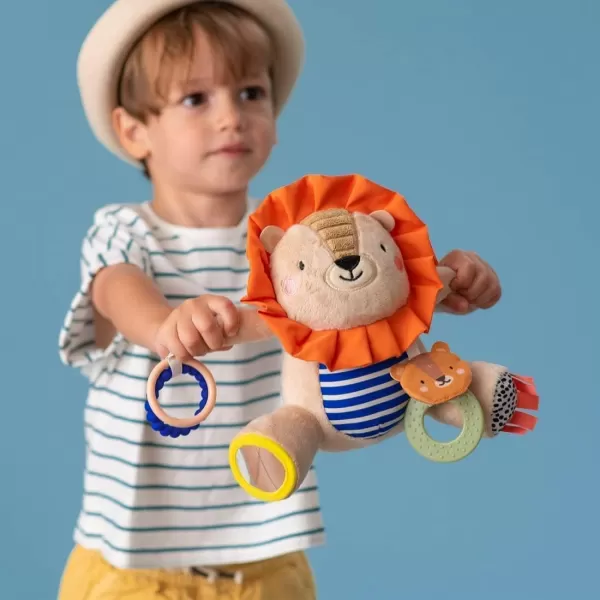 Taf Toys High Contrast Baby Flash Cards ampamp Baby Safe Mirror for Tummy time Plus Harry The Lion Newborn ampamp Baby Developmental Soft Activity Toy