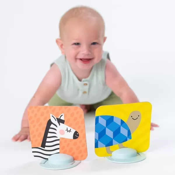 Taf Toys High Contrast Baby Flash Cards ampamp Baby Safe Mirror for Tummy time Plus Harry The Lion Newborn ampamp Baby Developmental Soft Activity Toy