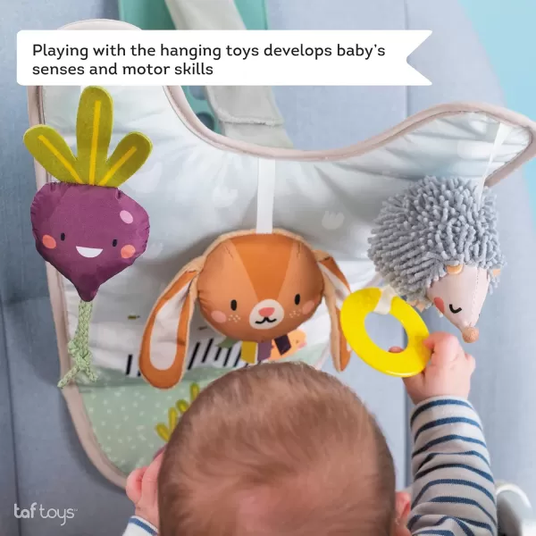 Taf Toys Infant Car Seat Development Center Newborn Baby Essentials Must Haves Toy Car Seat Accessories Activity Center with Car Seat Mirror for Newborn Toys 0 3 Months Brain Development