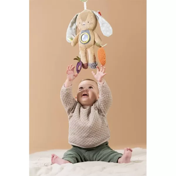 Taf Toys Jenny Activity Bunny Newborn ampamp Baby Developmental Soft Activity Toy Helps Develop Motor Skills Perfect for Multi Sensory Play with Mirror Teethers ampamp Rattles Textures and Sounds 36 Months
