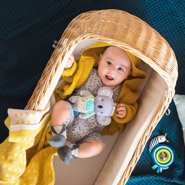 Taf Toys Kimmy The Koala Baby Activity and Teething Toy with Multi Sensory Rattle and Textures