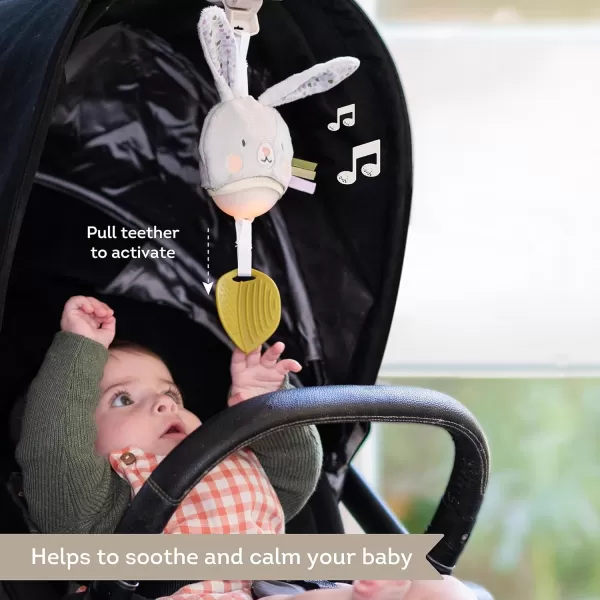 Taf Toys Music ampamp Light Ladybug Take Along Toy Portable Baby Sound Machine Newborn Soother Infant Musical Crib Mobile Perfect for Tummy Time and Brain Development Suitable for 06 MonthsBunny