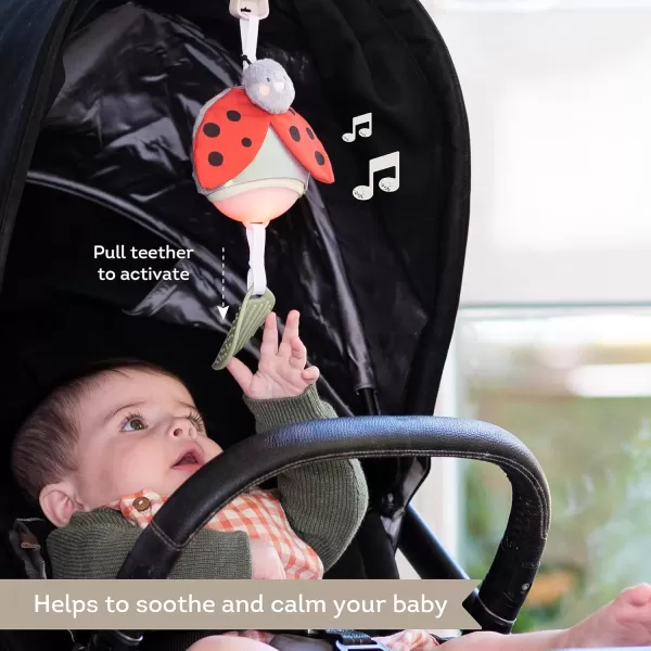 Taf Toys Music ampamp Light Ladybug Take Along Toy Portable Baby Sound Machine Newborn Soother Infant Musical Crib Mobile Perfect for Tummy Time and Brain Development Suitable for 06 MonthsLady Bug