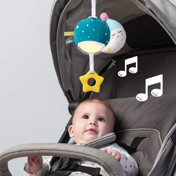 Taf Toys Music ampamp Light Ladybug Take Along Toy Portable Baby Sound Machine Newborn Soother Infant Musical Crib Mobile Perfect for Tummy Time and Brain Development Suitable for 06 MonthsTeal