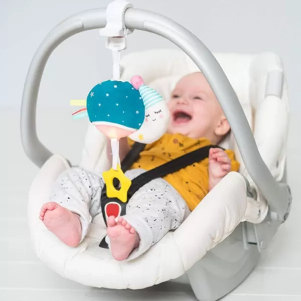 Taf Toys Music ampamp Light Ladybug Take Along Toy Portable Baby Sound Machine Newborn Soother Infant Musical Crib Mobile Perfect for Tummy Time and Brain Development Suitable for 06 MonthsTeal