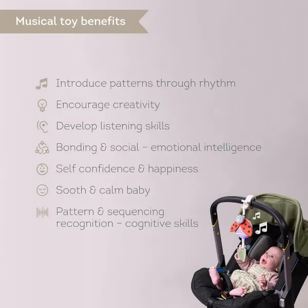 Taf Toys Music ampamp Light Ladybug Take Along Toy Portable Baby Sound Machine Newborn Soother Infant Musical Crib Mobile Perfect for Tummy Time and Brain Development Suitable for 06 MonthsBunny