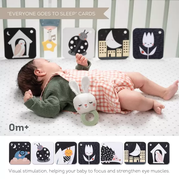 Taf Toys Newborn Bedtime Kit  Ultimate with 12 Activities for a Smooth Bedtime Routine  includes Music and Light Unit  Ideal New Baby Boy or Girl Bedtime kitBedtime Kit