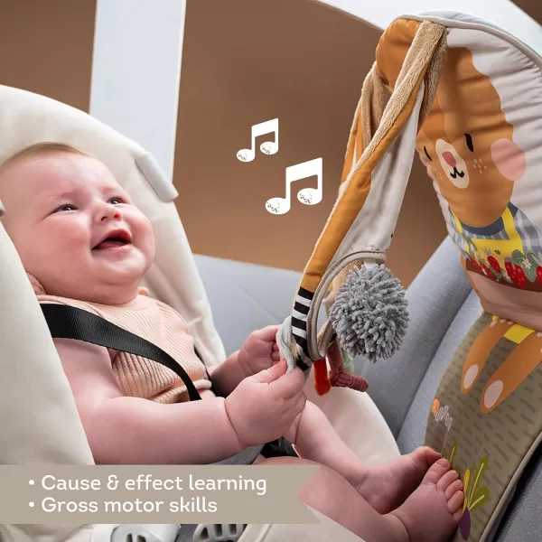 Taf Toys Play ampamp Kick Infant Car Seat Toy for Babies Newborn RearFacing Activity Center with Music Light Mirror ampamp Rattling Toys Promotes Motor Skills Development 018 Months Travel Baby Toy