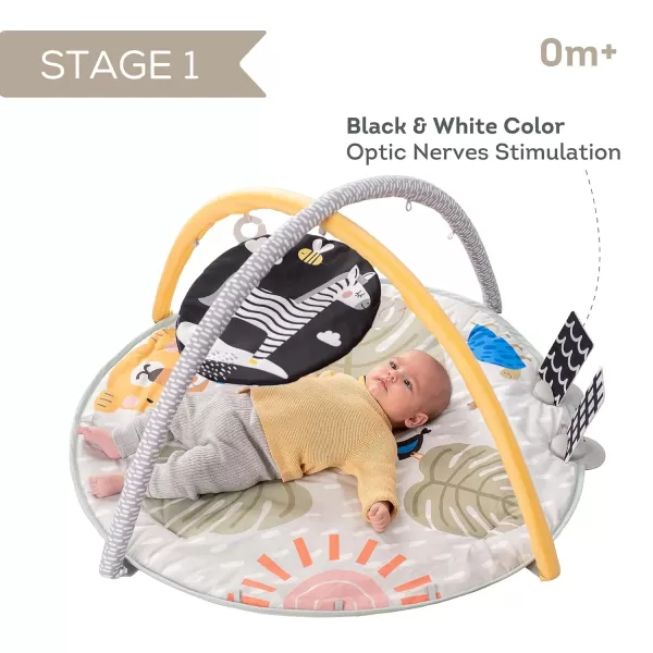Taf Toys Savannah 360 Activity Gym with Music ampamp Light ampamp 20 Playful Activities Thickly Padded with Soft Mat and a Unique Crinkle Toy for a Variety of Body Positioning for Newborn and Up