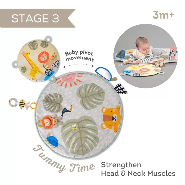 Taf Toys Savannah 360 Activity Gym with Music ampamp Light ampamp 20 Playful Activities Thickly Padded with Soft Mat and a Unique Crinkle Toy for a Variety of Body Positioning for Newborn and Up
