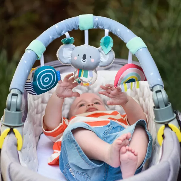 Taf Toys Savannah Adventures Arch  Activity Arch with Fascinating Toys Stimulates Babys Senses ampamp Motor Skills Development  Newborn Toys ampamp Baby Toys 36 Months  Use on Strollers Bassinets CribKoala