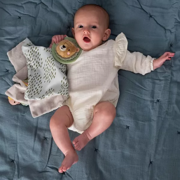 Taf Toys Soft Security Blanket with Pacifier Holder ampamp Mane Teether Baby Lovey Unisex Lovie Baby Gifts for Newborn Boys and Girls Snuggle Toy Baby Lion Stuffed Animal for Ages 024 MonthsBaby Lion