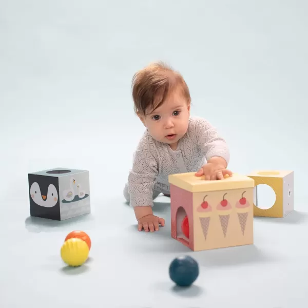 Taf Toys Toddlers Object Permanence Ball Drop Stacker Made of Strong ampamp Durable Cardboard Box ampamp Plastic Cover Perfect Developmental Toy for TummyTime