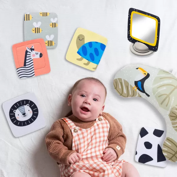 Taf Toys Tummy Time Set with Ergonomic Pillow DoubleSided High Contrast Black ampamp White Flash Cards ampamp Mirror Card Developmental Baby Play Mat Accessories ampamp Card Stands for Newborn Infant Tummy Time