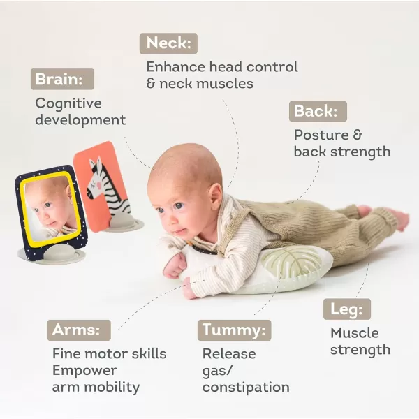 Taf Toys Tummy Time Set with Ergonomic Pillow DoubleSided High Contrast Black ampamp White Flash Cards ampamp Mirror Card Developmental Baby Play Mat Accessories ampamp Card Stands for Newborn Infant Tummy Time